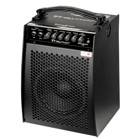  image 2 SB106 100 Watt Micro Bass Combo